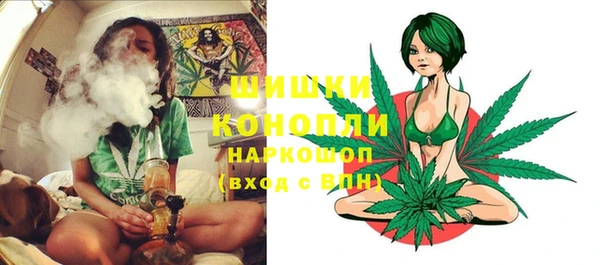 apvp Аркадак